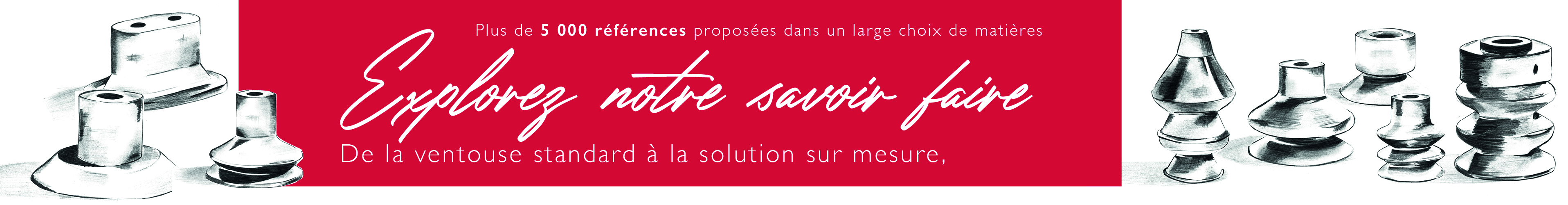 Explorez notre Gamme de Ventouses